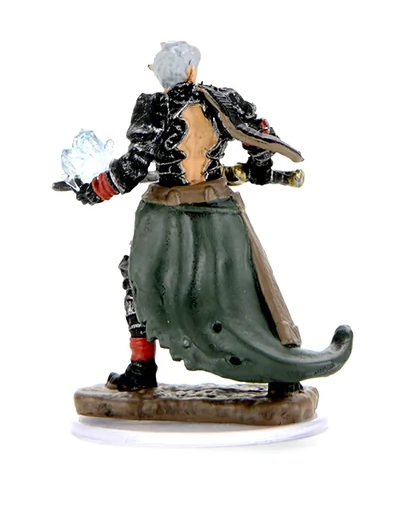 Male Gnome Druid: Pathfinder Painted Premium [2]