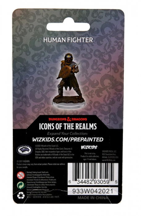 Male Human Fighter - D&D Icons of the Realms Premium Figures (W7) [4]