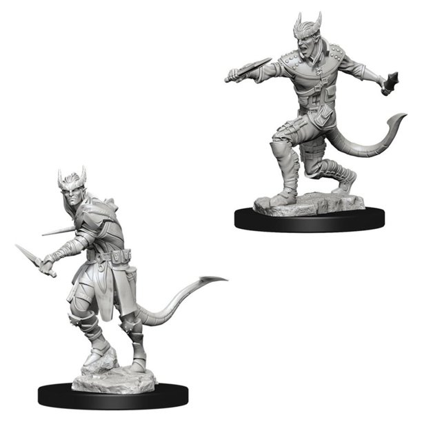Male Tiefling Rogue - Nolzur's Marvelous Unpainted Miniatures [2]