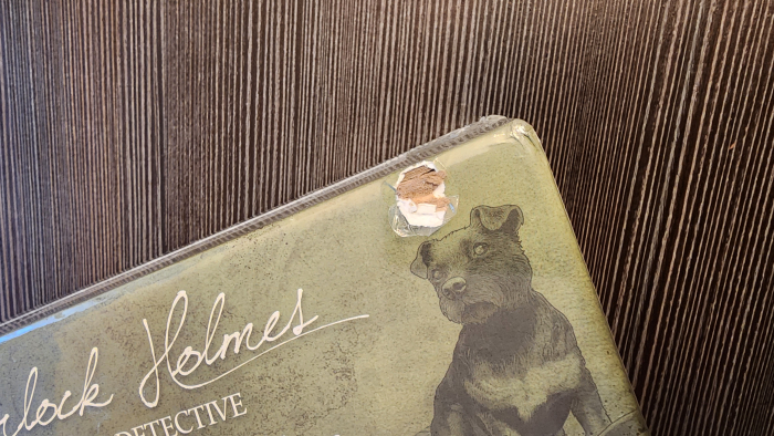 Sherlock Holmes Consulting Detective: Baker Street Irregulars - EN [5]