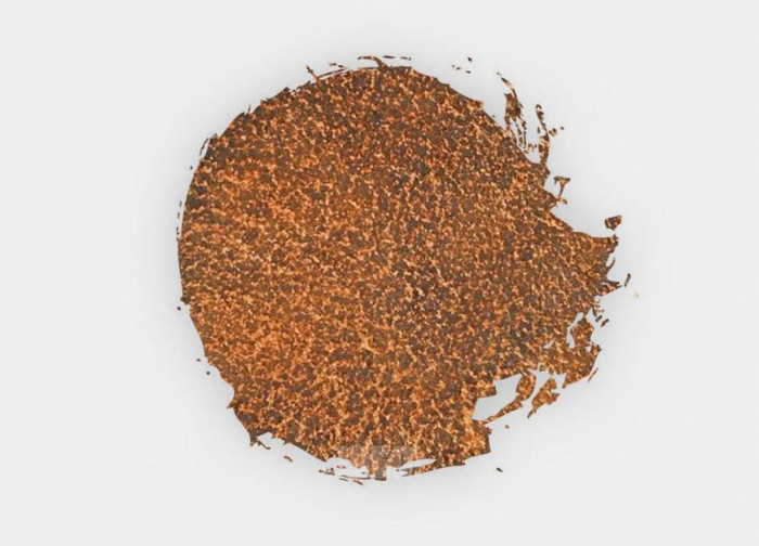 Citadel - Technical: Stirland Mud - GW (27-26) (24 ml) [2]
