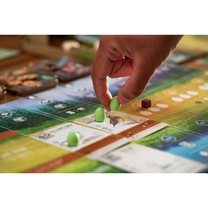 Wingspan 2nd Edition - EN [4]