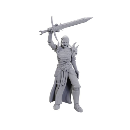 RPG - Blackguard - D&D Nolzur's Marvelous Miniatures