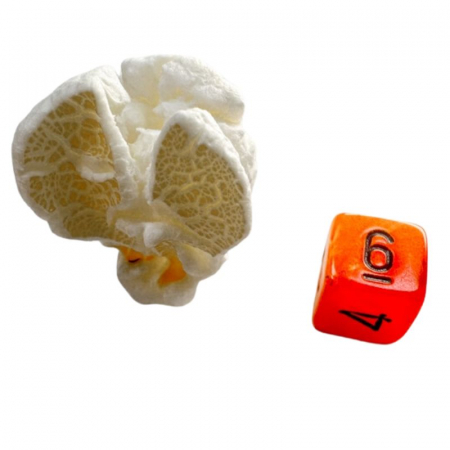 Chessex Vortex Mini-Polyhedral Dice Set  Orange/black (7 dice) [1]