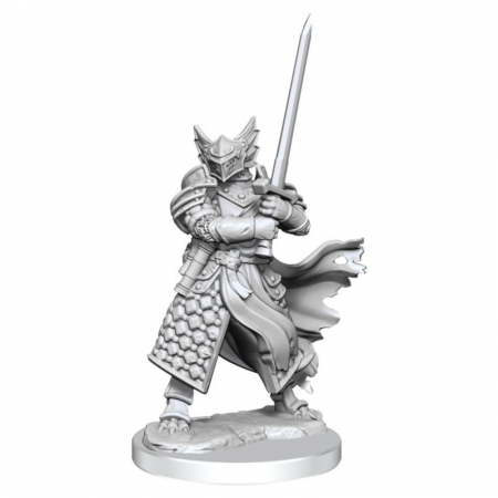 RPG - D&D Frameworks Miniature: Dragonborn Paladin Male