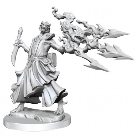 RPG - D&D Frameworks Miniature: Dragonborn Sorcerer Female