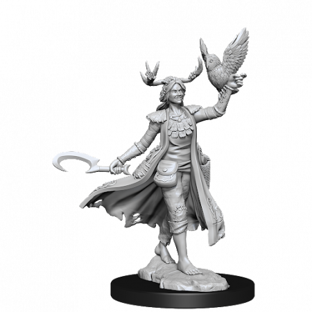 RPG - D&D Frameworks Miniature: Human Druid Female
