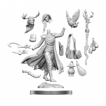 D&D Frameworks Miniature: Human Druid Female [1]