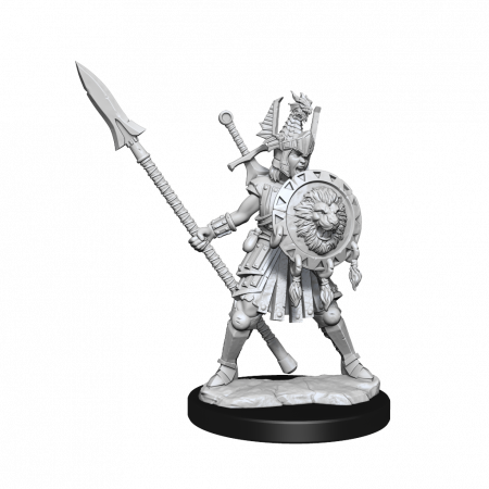 RPG - D&D Frameworks Miniature: Human Fighter Female