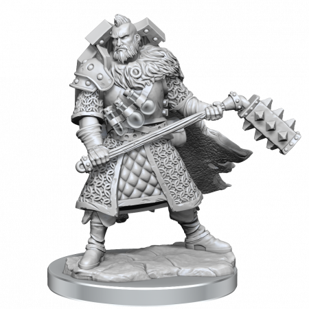 RPG - D&D Frameworks Miniature: Human Fighter Male