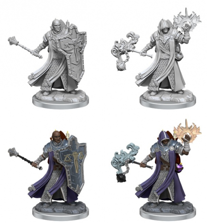 D&D Frameworks Miniature: Human Cleric Male [1]