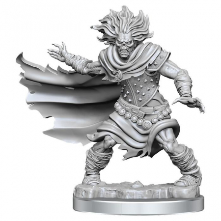 Miniaturi RPG - D&D Frameworks Miniature: Wight