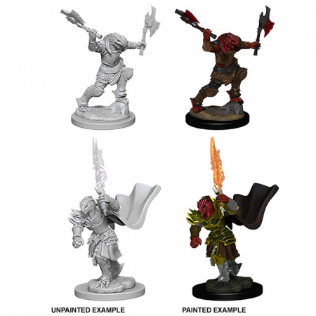 D&D Nolzur's Marvelous Unpainted Miniatures: Dragonborn Female Fighter (W4) [1]