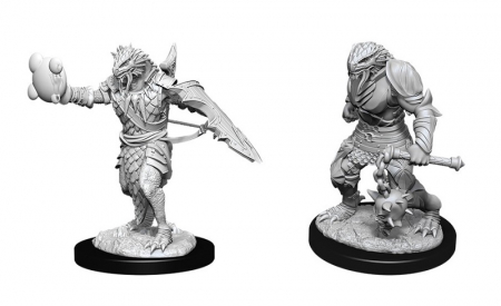 RPG - D&D Nolzur's Marvelous Miniatures: Dragonborn Male Paladin
