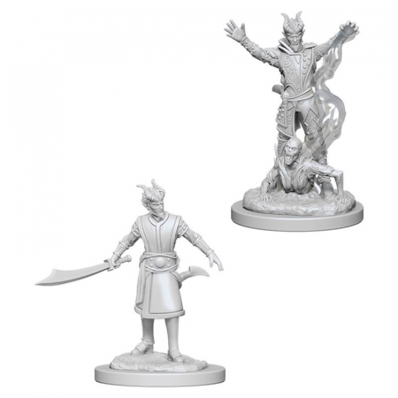 RPG - D&D Nolzur's Marvelous Miniatures - Male Tiefling Warlock