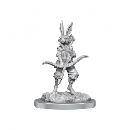 D&D Nolzur's Marvelous Miniatures: Paint Kit - Harengon - EN [1]