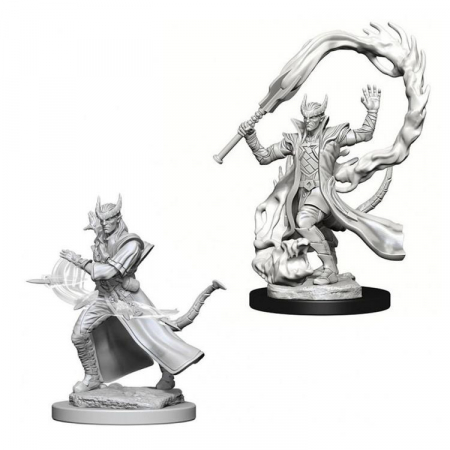 RPG - D&D Nolzur's Marvelous Miniatures - Tiefling Male Sorcerer