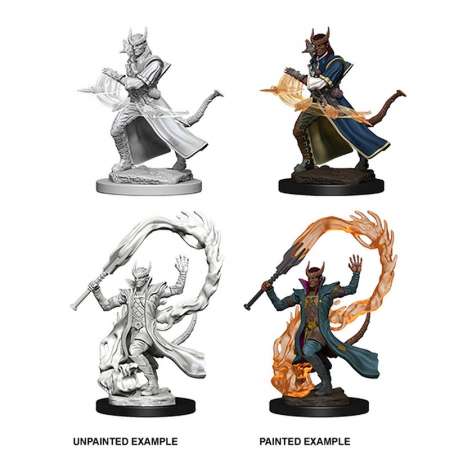 D&D Nolzur's Marvelous Miniatures - Tiefling Male Sorcerer [1]