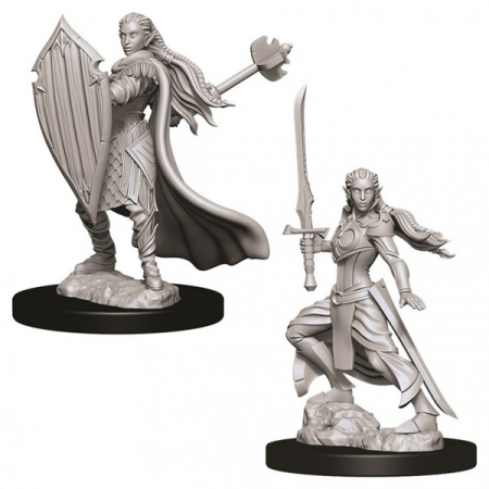 D&D Nolzur's Marvelous Unpainted Miniatures: Female Elf Paladin [1]