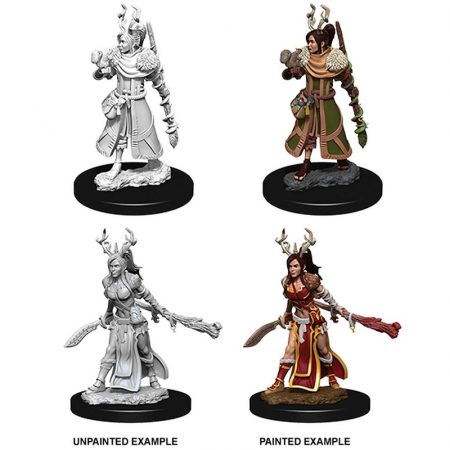 D&D Nolzur's Marvelous Unpainted Miniatures: Female Human Druid (W9) [1]