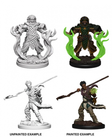 RPG - D&D Nolzur's Marvelous Unpainted Miniatures: Human Male Druid