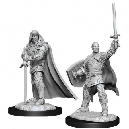 Precomenzi - D&D Nolzur's Marvelous Unpainted Miniatures: Human Paladin Male (W13)