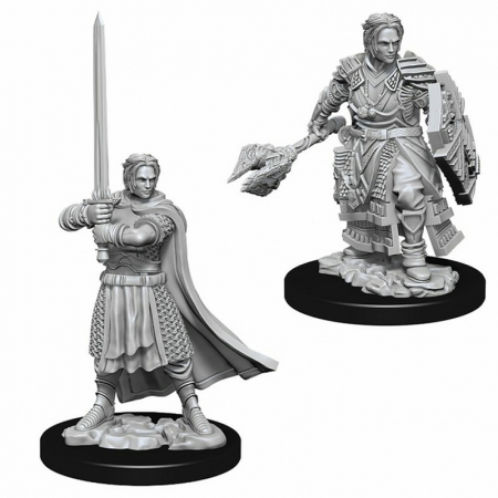 RPG - D&D Nolzur's Marvelous Unpainted Miniatures: Male Human Cleric (W8)