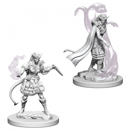 RPG - D&D Nolzur's Marvelous Unpainted Miniatures: Tiefling Female Sorcerer (W4)