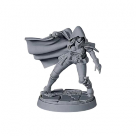 D20 Heroes Miniatures Set - Ballad Of The Cloak [3]
