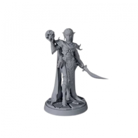 D20 Heroes Miniatures Set - Blood And Magic [5]