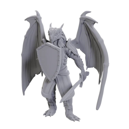 Precomenzi - Dragonborn of Bahamut - D&D Nolzur's Marvelous Miniatures