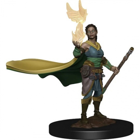 RPG - D&D Icons of the Realms Premium Figure: Elf Female Druid