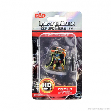 Elf Rogue Male D&D Icons of the Realms Premium Figures [1]