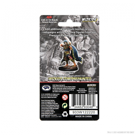 Elf Rogue Male D&D Icons of the Realms Premium Figures [2]
