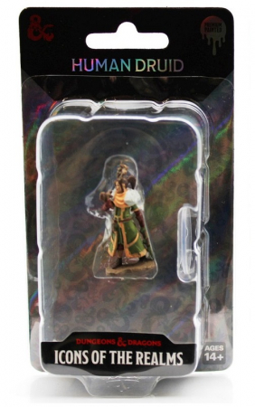 Female Human Druid - D&D Icons of the Realms Premium Figures (W7) [1]