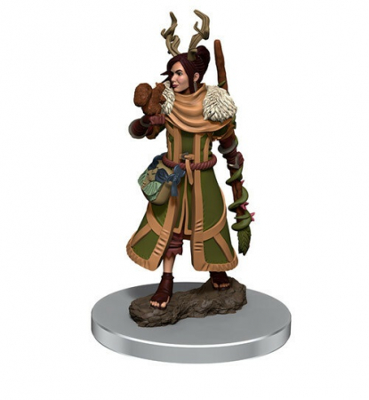 RPG - Female Human Druid - D&D Icons of the Realms Premium Figures (W7)