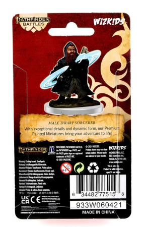 Male Dwarf Sorcerer - Pathfinder Painted Premium [3]