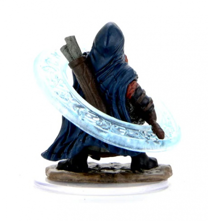Male Dwarf Sorcerer - Pathfinder Painted Premium [1]