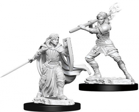 RPG - Female Human Paladin - Nolzur's Marvelous Unpainted Miniatures