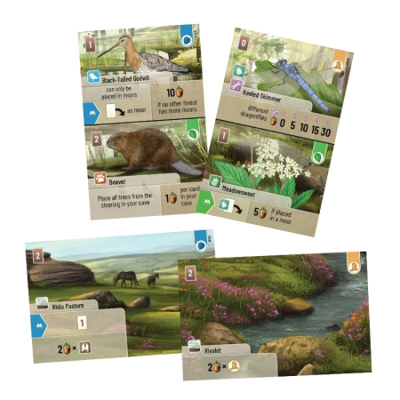 Forest Shuffle: Dartmoor - EN [1]