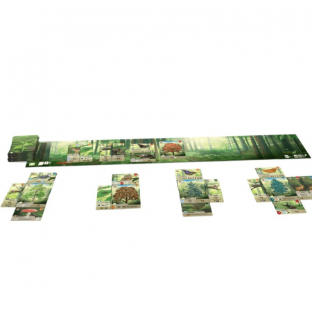Forest Shuffle - EN [2]