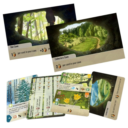 Forest Shuffle: Exploration (Extensie) - EN [1]