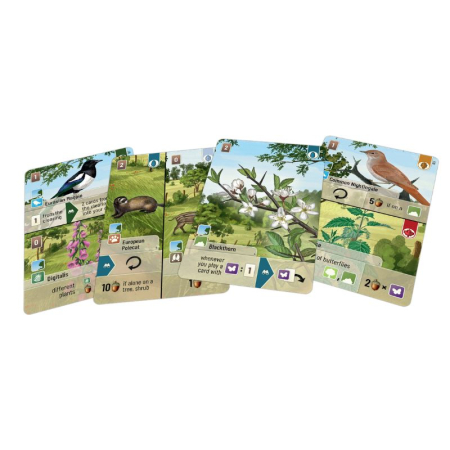 Forest Shuffle: Woodland Edge (Extensie) - EN [1]