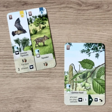 Forest Shuffle: Woodland Edge (Extensie) - EN [2]