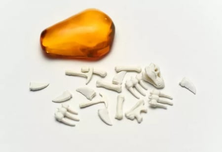 Fossilis - EN [4]