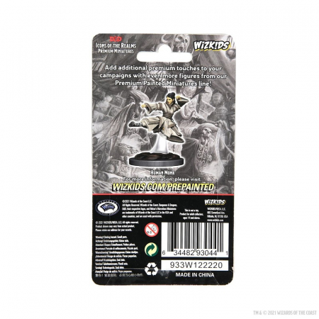 Human Monk Female D&D Icons of the Realms Premium Figures [2]