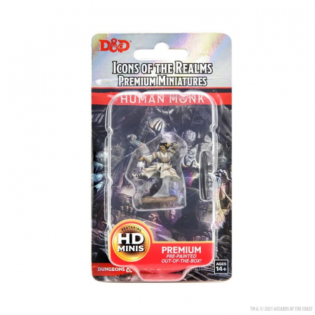 Human Monk Female D&D Icons of the Realms Premium Figures [1]