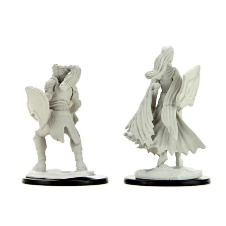 Kalashtar Cleric Female - D&D Nolzur's Marvelous Miniatures [1]