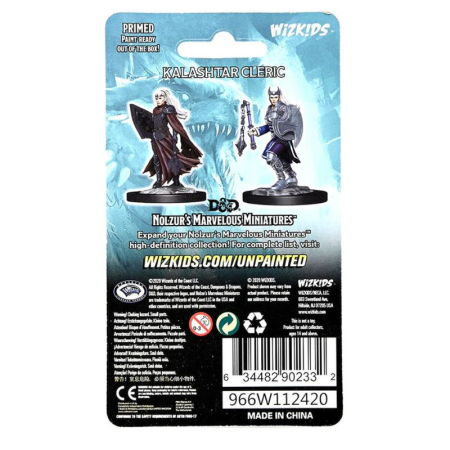 Kalashtar Cleric Female - D&D Nolzur's Marvelous Miniatures [3]