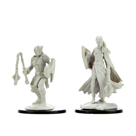 RPG - Kalashtar Cleric Female - D&D Nolzur's Marvelous Miniatures